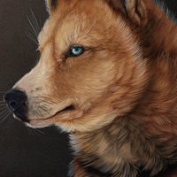 Никита Чирков | Самара