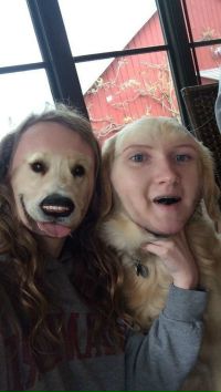 Название софт лиц в. Trial face swap videos. Trial face swap videos. Trial face swap videos. Приложение менять лица.