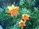 Фотография Винокурова Айсена