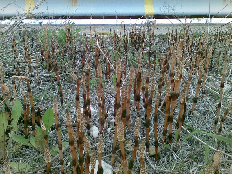 №11, Анастасия Яковлева, 36 лет, Нарва №11, Анастасия Яковлева, 36 лет, Нарва