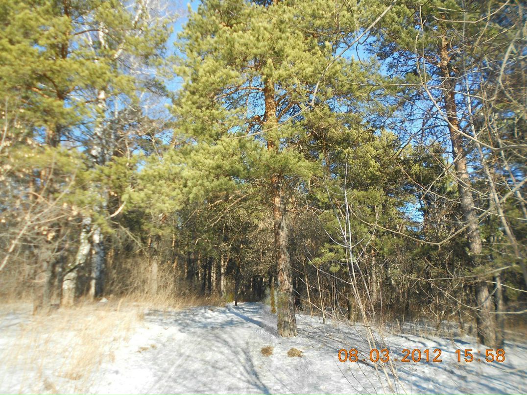 Ольга Дымова | Кемерово