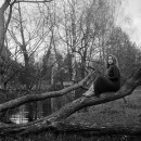 Фотография Ермаковой Даши