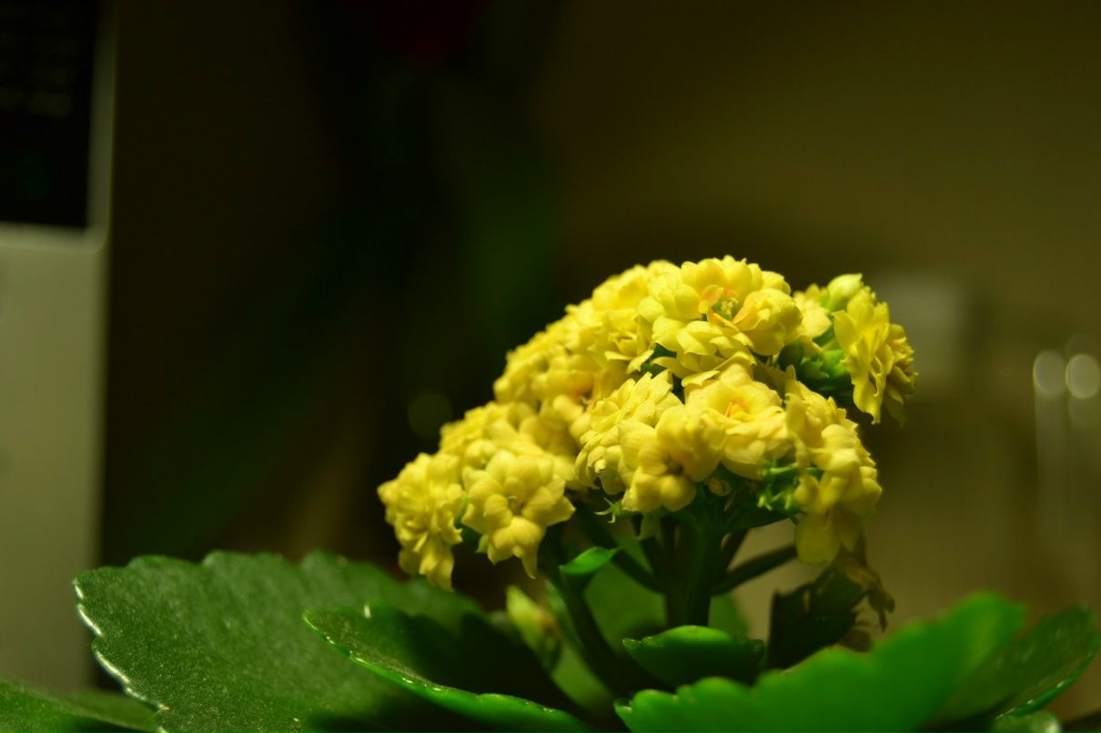 Александр Лазарев SLOGUNMAN | Тюмень