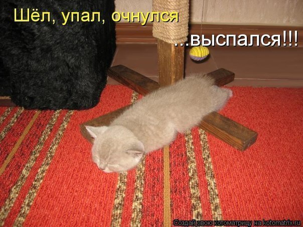 Павел Петров | Ижевск