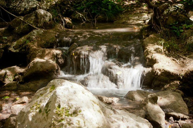 Дмитрий Никишенко | Алешки / Цюрупинск