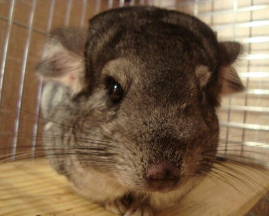 Алёна Падусева ღღღ | Петрозаводск