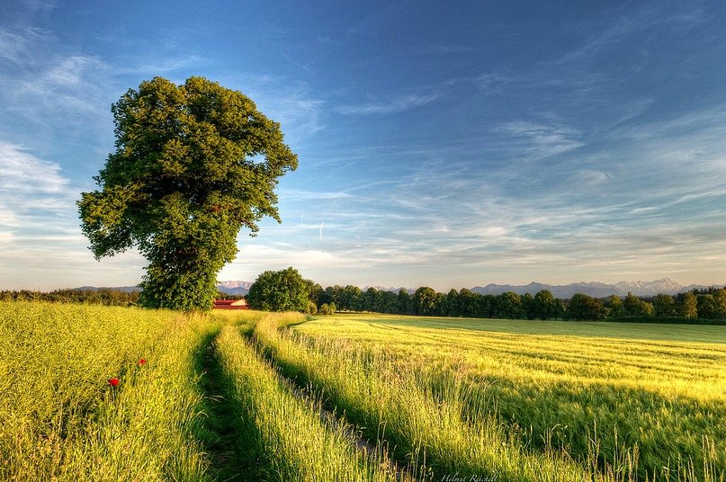 Olesyajane Yutoo | Москва