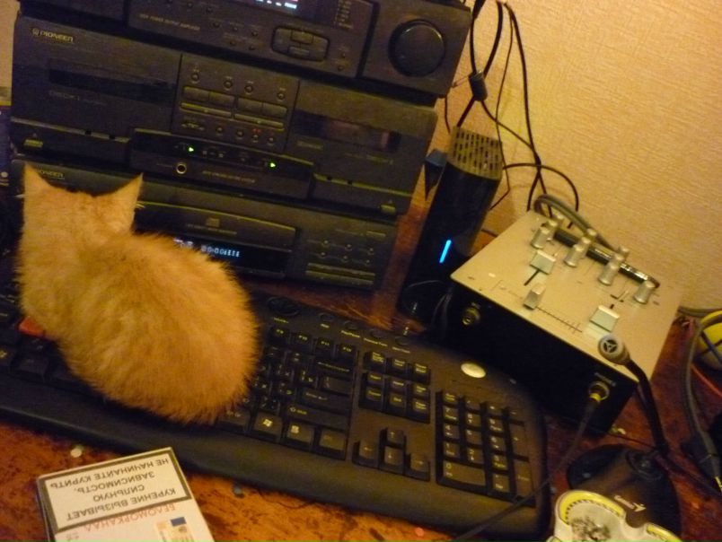 №177, Санчес Олешня, 46 лет, ВНИИССОК №177, Санчес Олешня, 46 лет, ВНИИССОК