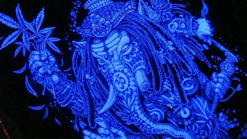 Александр Алехин | Москва