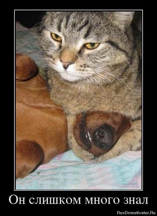 Дмитрий Решетняк | Москва