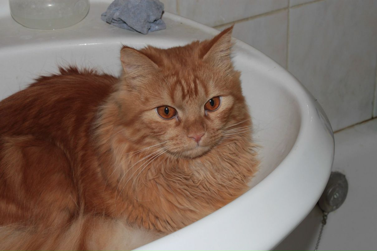 Яна Зайцева [♥Зайцева♥] | Ростов-на-Дону