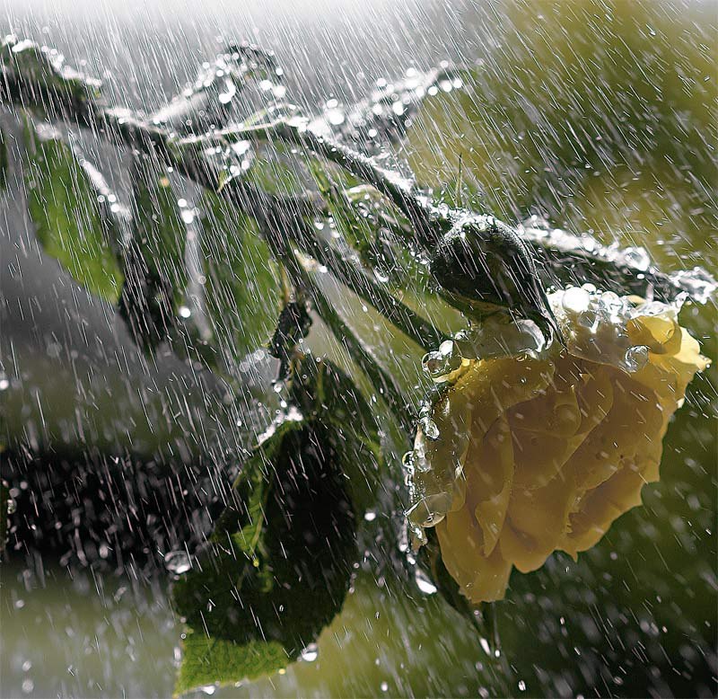 Настя Закирова | 