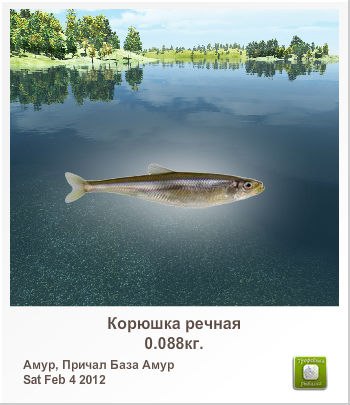 Виталик Цегельний | Васильков