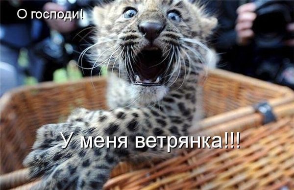 Анна Яковлева | Санкт-Петербург