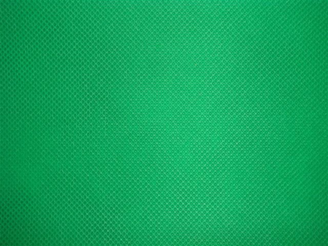 Алёна Маркевич | Гродно