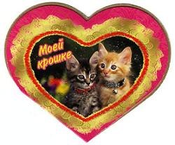 Евгений Морковкин | Набережные Челны