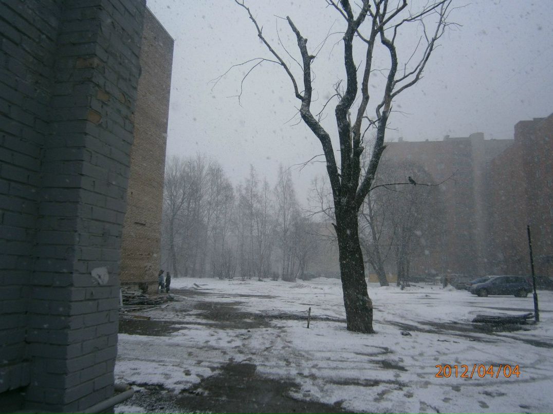 Маргарита Фомичёва Лисса | Санкт-Петербург