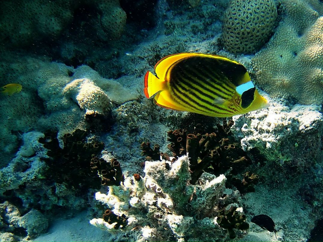 Александр Кирпичёнок | Санкт-Петербург