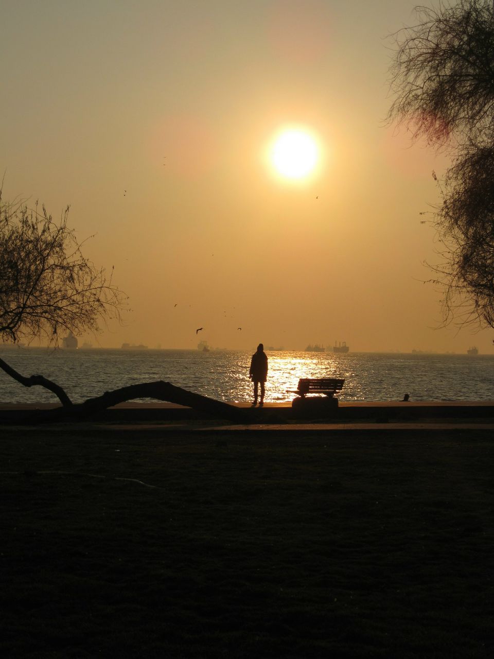 Анна Александрова | Москва