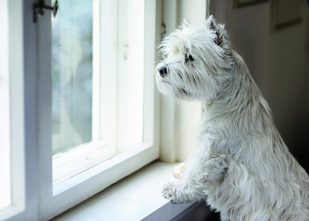Виктория Павлова | Санкт-Петербург