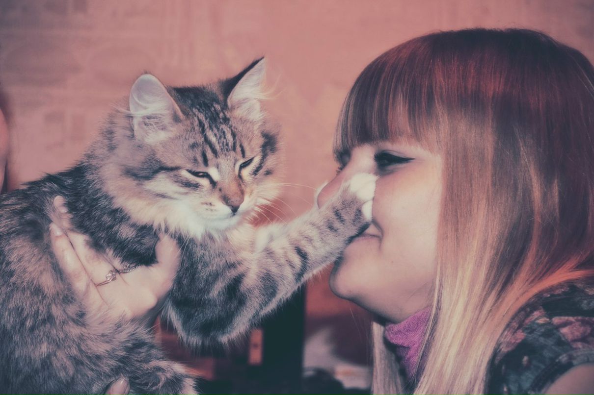 Анжелика Сивак | Кемерово