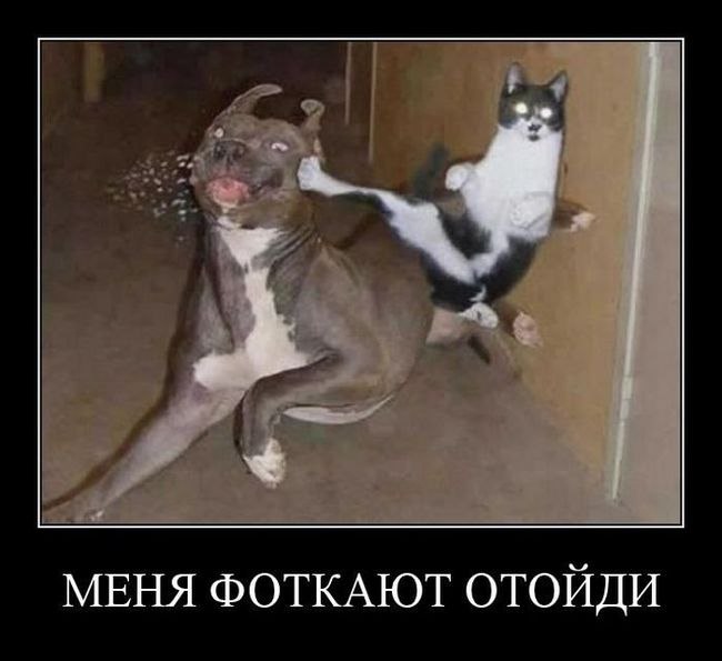 Виталий Бояринцев | Дружковка