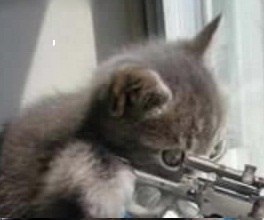 Иван Кораблев | Львов