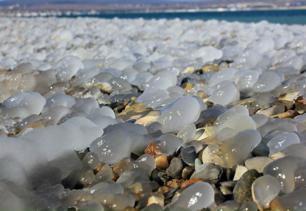 Ирина Марукович | Глазов