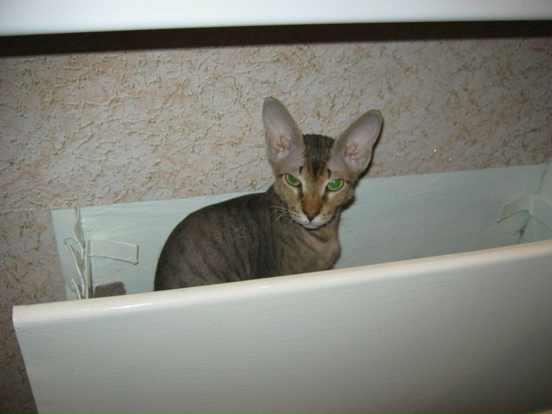 Наталья Загуляева | 