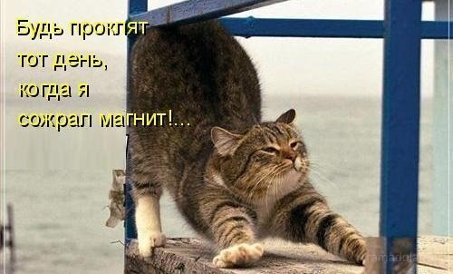 №145, Даринка Горбуль, 36 лет, Запорожье №145, Даринка Горбуль, 36 лет, Запорожье