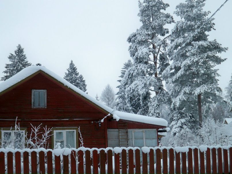 Ирина Фирсова | Санкт-Петербург