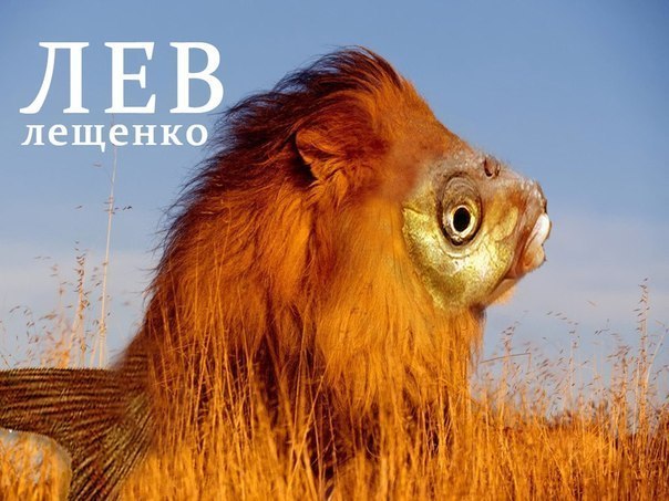 Денис Keeper | Ярославль