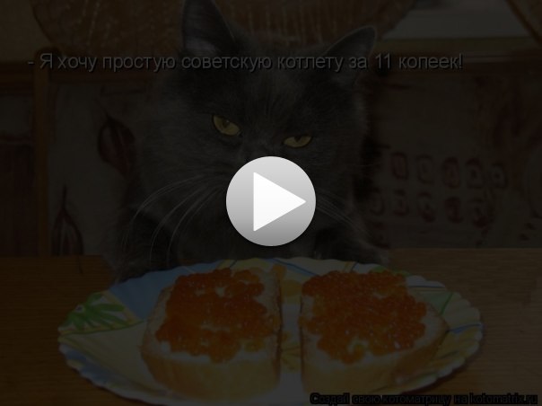 Любовь Кисельникова | Новосибирск