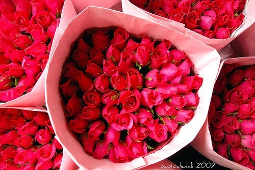 №148, Лиана Бэлл №148, Лиана Бэлл