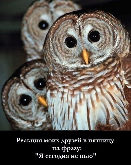 Александр Тилль | Кемерово