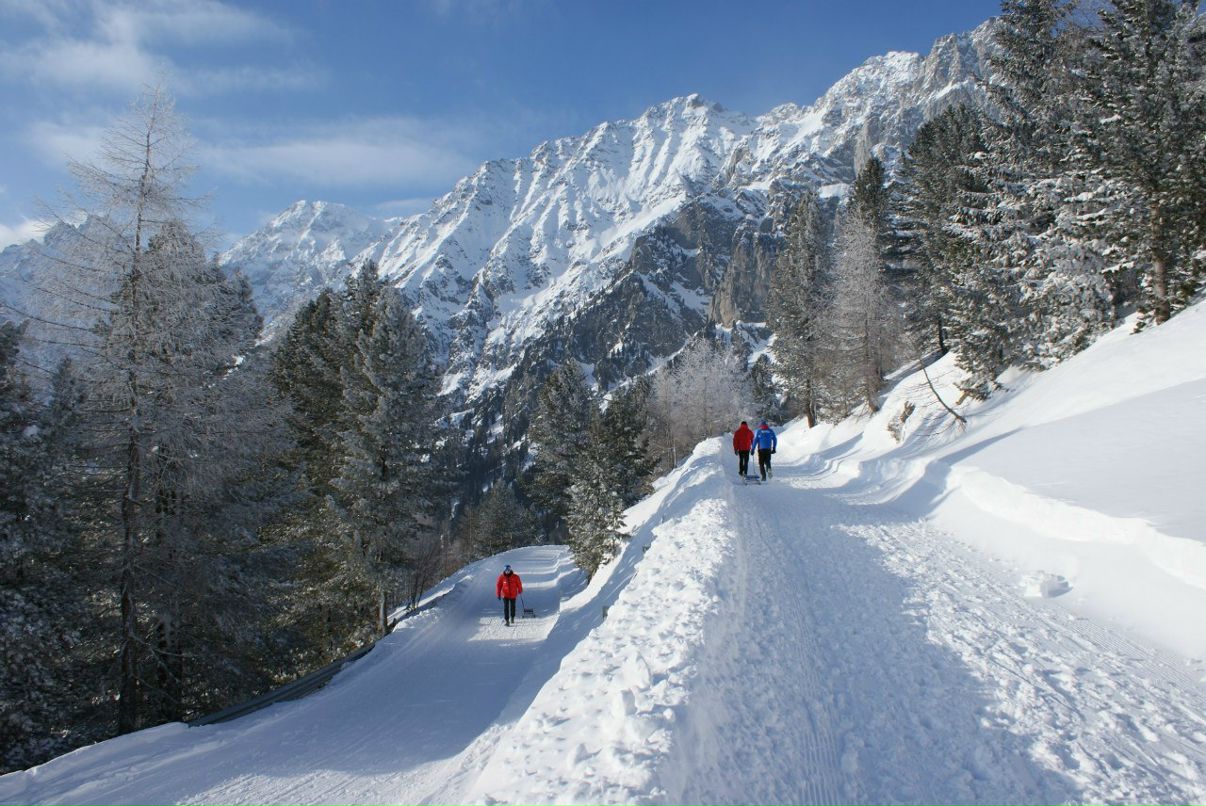 Евгений Жевлаков | Санкт-Петербург