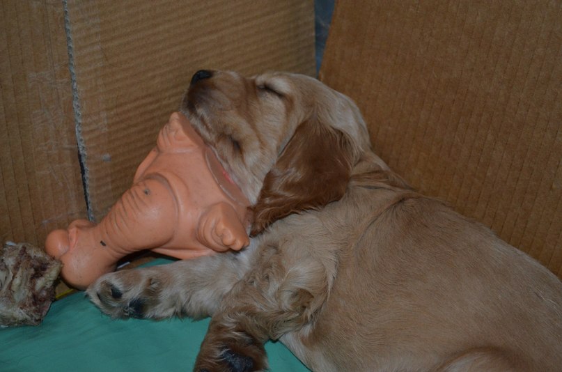 Лейсан Тухватуллина 