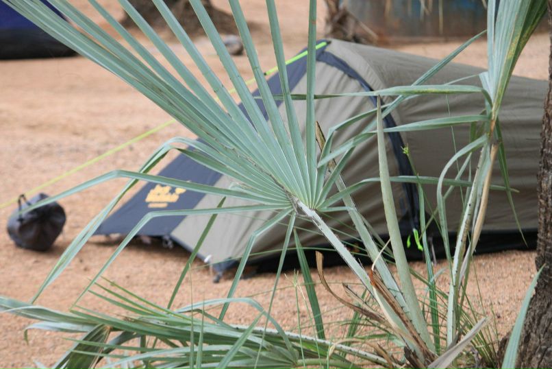 Илона Савицкая | Санкт-Петербург