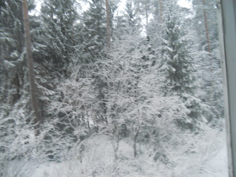 Софья Романовская | Санкт-Петербург