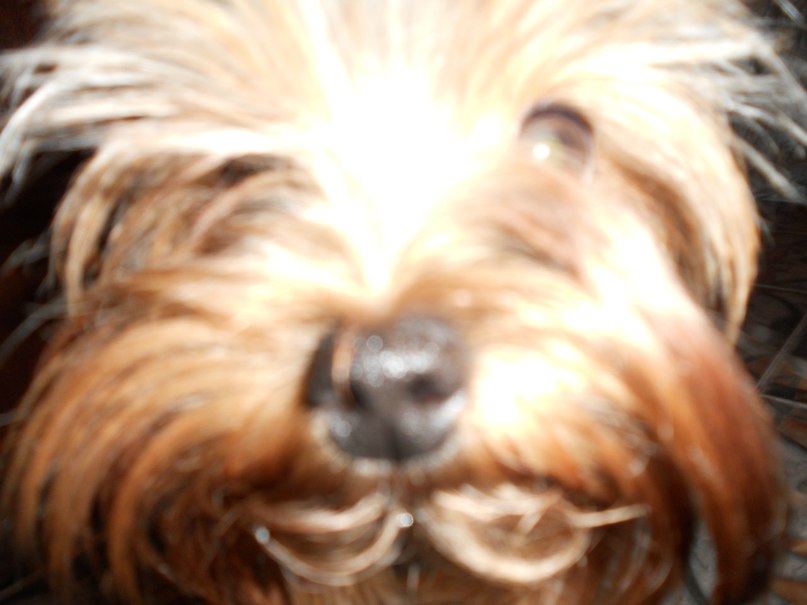 Софья Романовская | Санкт-Петербург