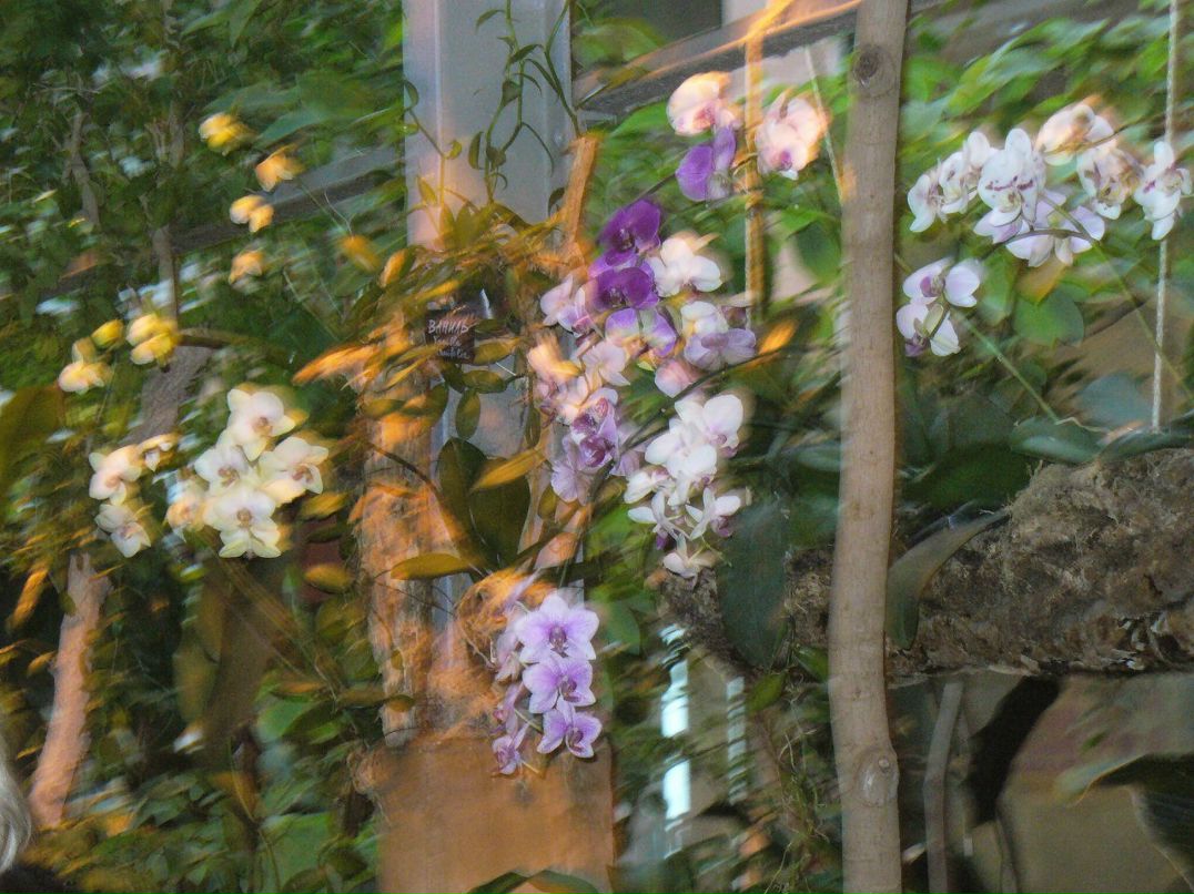 Татьяна Голубева | Москва