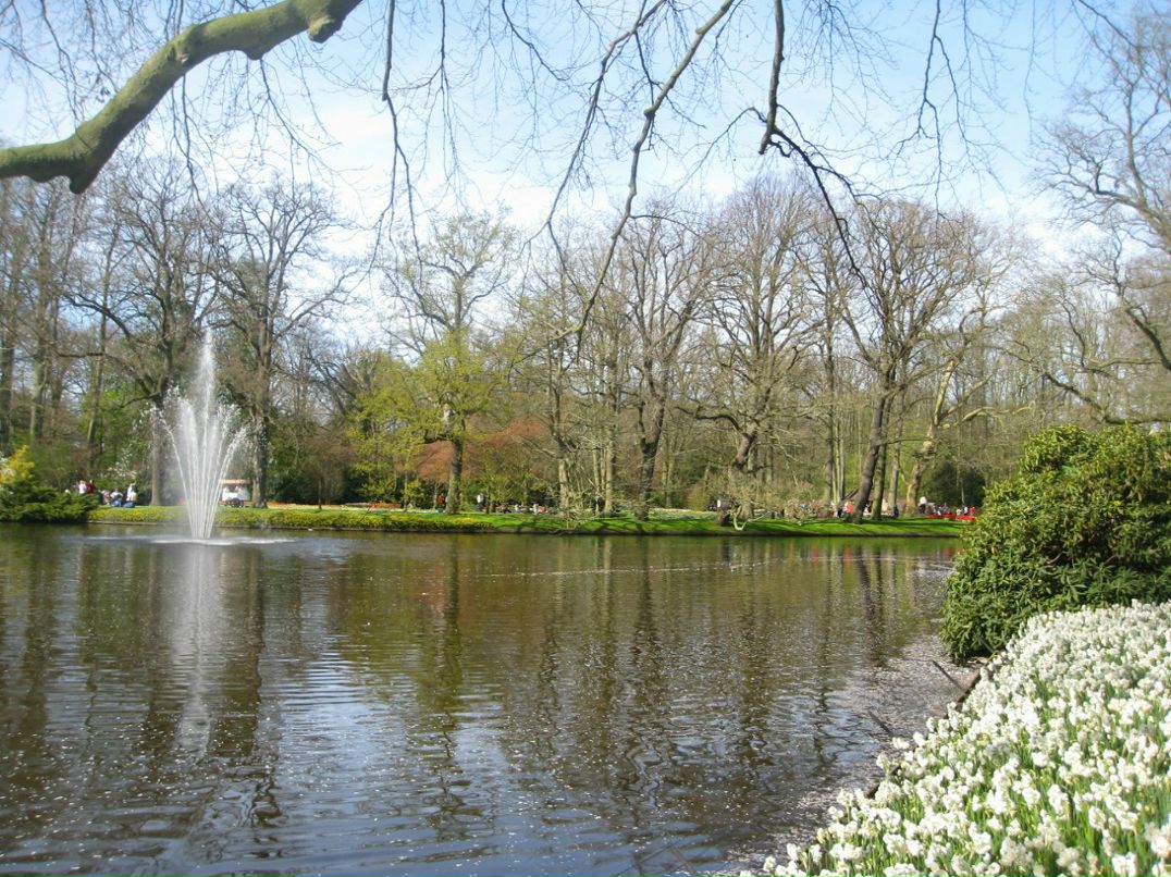 Полина Павлова | 