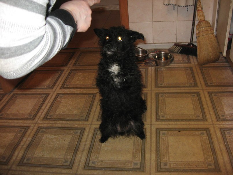 Павел Дерябин | Санкт-Петербург