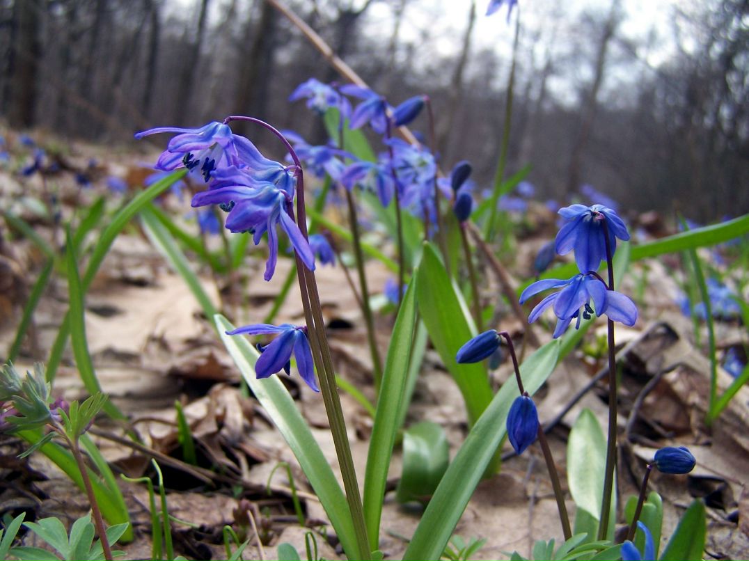 Татьяна Быканова | Воронеж