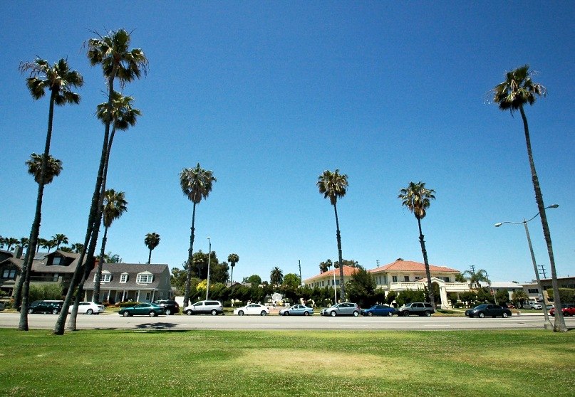 Александр Зелюкин | Long Beach