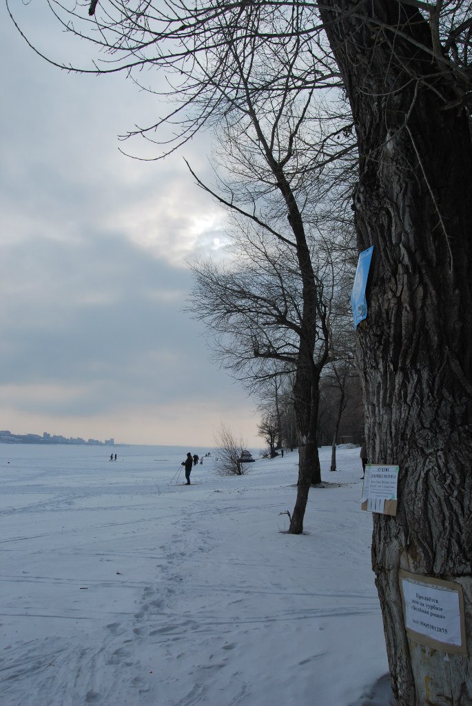 Rodin Eugene | Самара