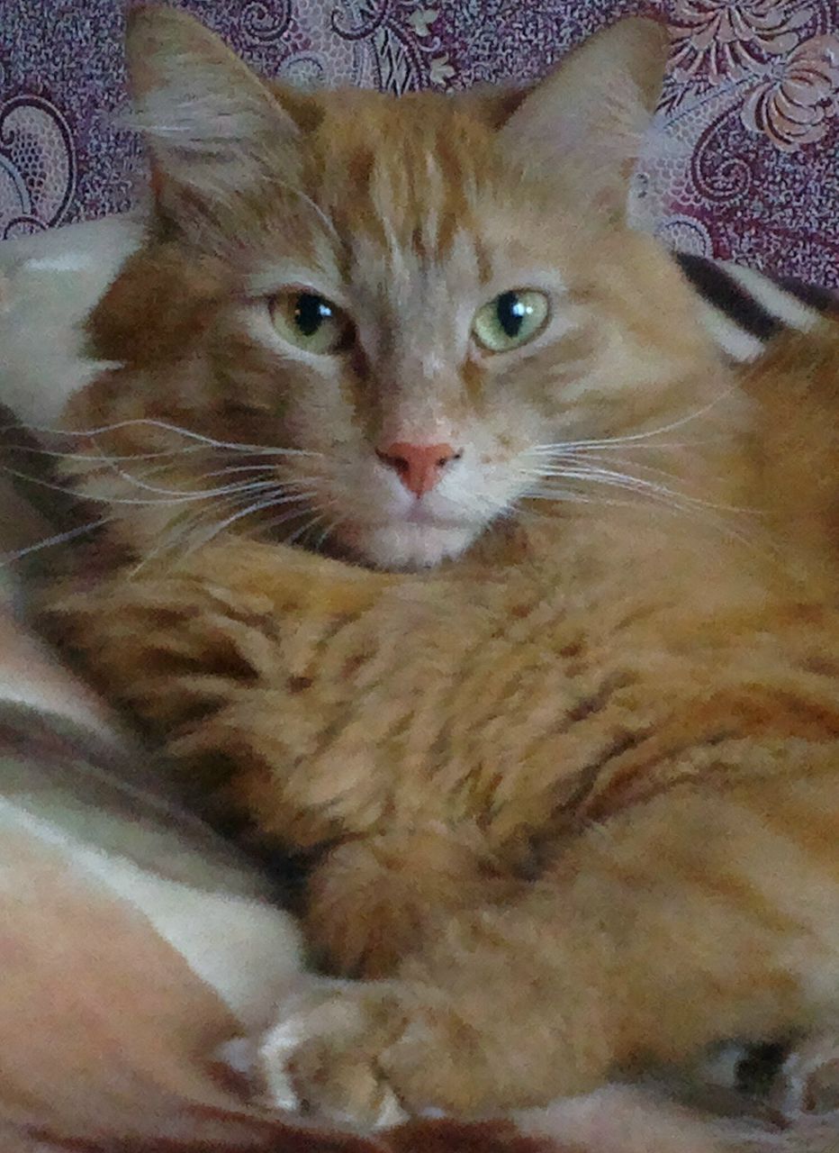 Оксана Смирнова | Осташков