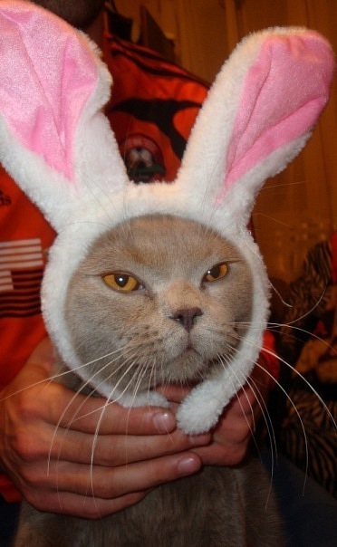 №29, Константин Чернявский, 47 лет, Киев №29, Константин Чернявский, 47 лет, Киев