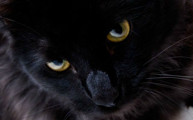 №18, Aliaksey Siarheyeu, Минск №18, Aliaksey Siarheyeu, Минск