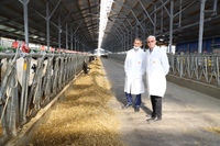 тюменские молочные фермы. тюменская молочная ферма усть ламенка. тюменские молочные фермы. молочная ферма дамате тюменская. тюменские молочные фермы усть ламенка телятник.